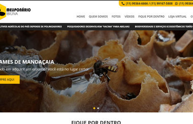 Meliponário Ibiúna